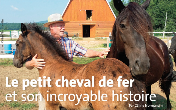 Cheval-Petit-Cheval-de-Fer-10-2014